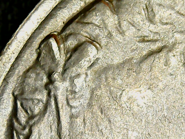 1913-P-Buffalo-Nickel-For-Grading